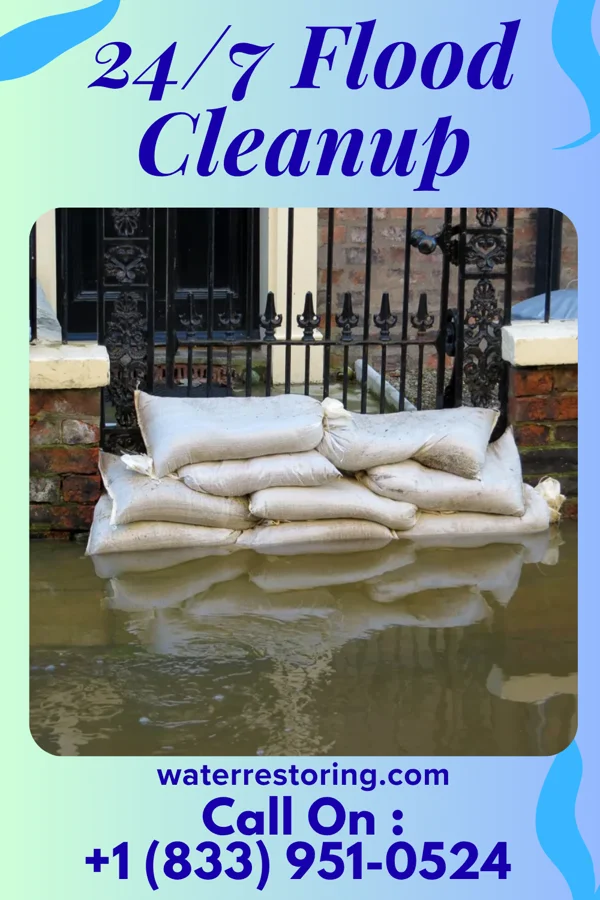24/7 Flood Cleanup in Viburnum, MO